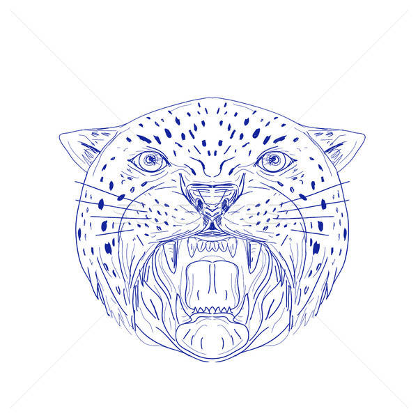600x600 Jaguar Stock Vectors, Illustrations And Cliparts Stockfresh - Jaguar Head Drawing
