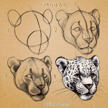 350x350 Jaguar Head Tutorial - Jaguar Head Drawing