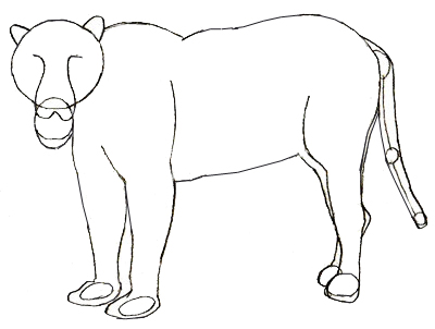 400x302 How To Draw A Jaguar - Jaguar Outline Drawing
