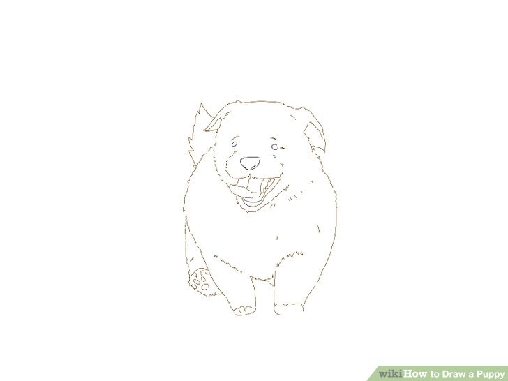 728x546 Drawn Jaguar Outline - Jaguar Outline Drawing