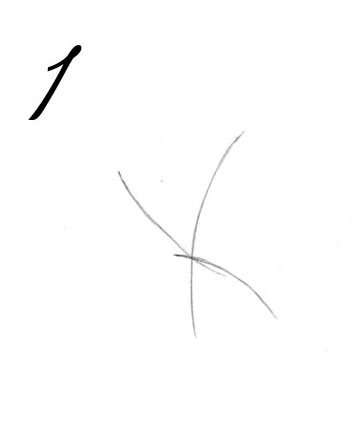 360x423 Step - Jake And The Neverland Pirates Drawing