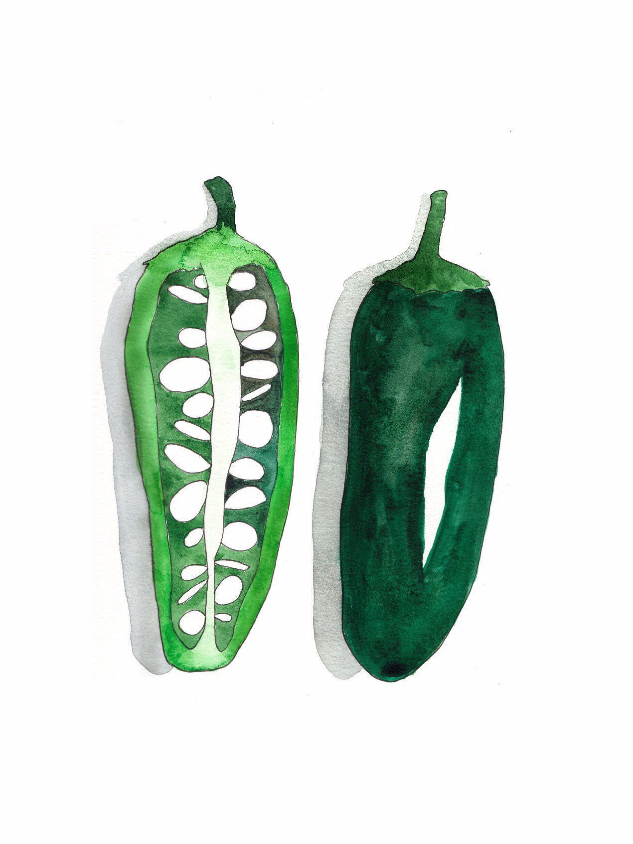 1270x1693 watercolor art print - Jalapeno Drawing