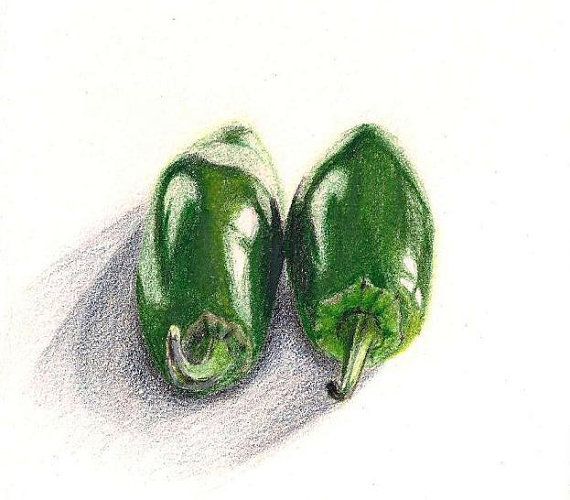 Jalapeno Drawing at Explore collection of Jalapeno