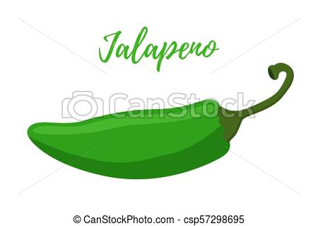 450x319 vector cartoon flat jalapeno hot green chilli pepper mexican spice - Jalapeno Drawing