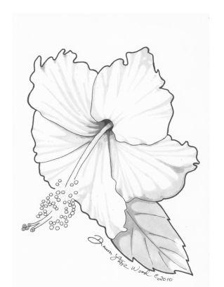 319x408 Jamaica Clipart Hibiscus Drawing - Jamaica Drawing