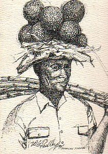 211x300 Jamaica Drawings - Jamaica Drawing