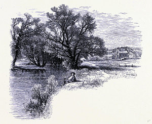 300x245 Jamaica Drawings Fine Art America - Jamaica Drawing