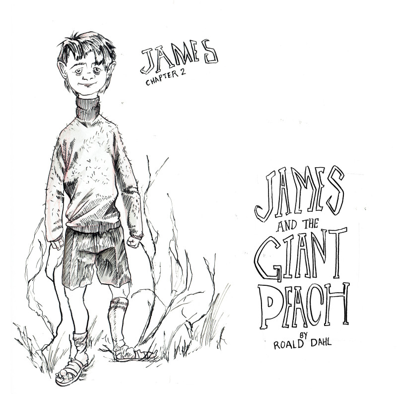 800x794 Centipede Drawing James And The Giant Peach For Free Download - James And The Giant Peach Drawings