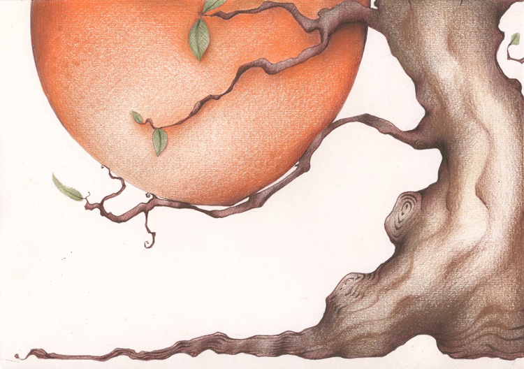 750x528 Children's Publishing Blogs - James And The Giant Peach Drawings
