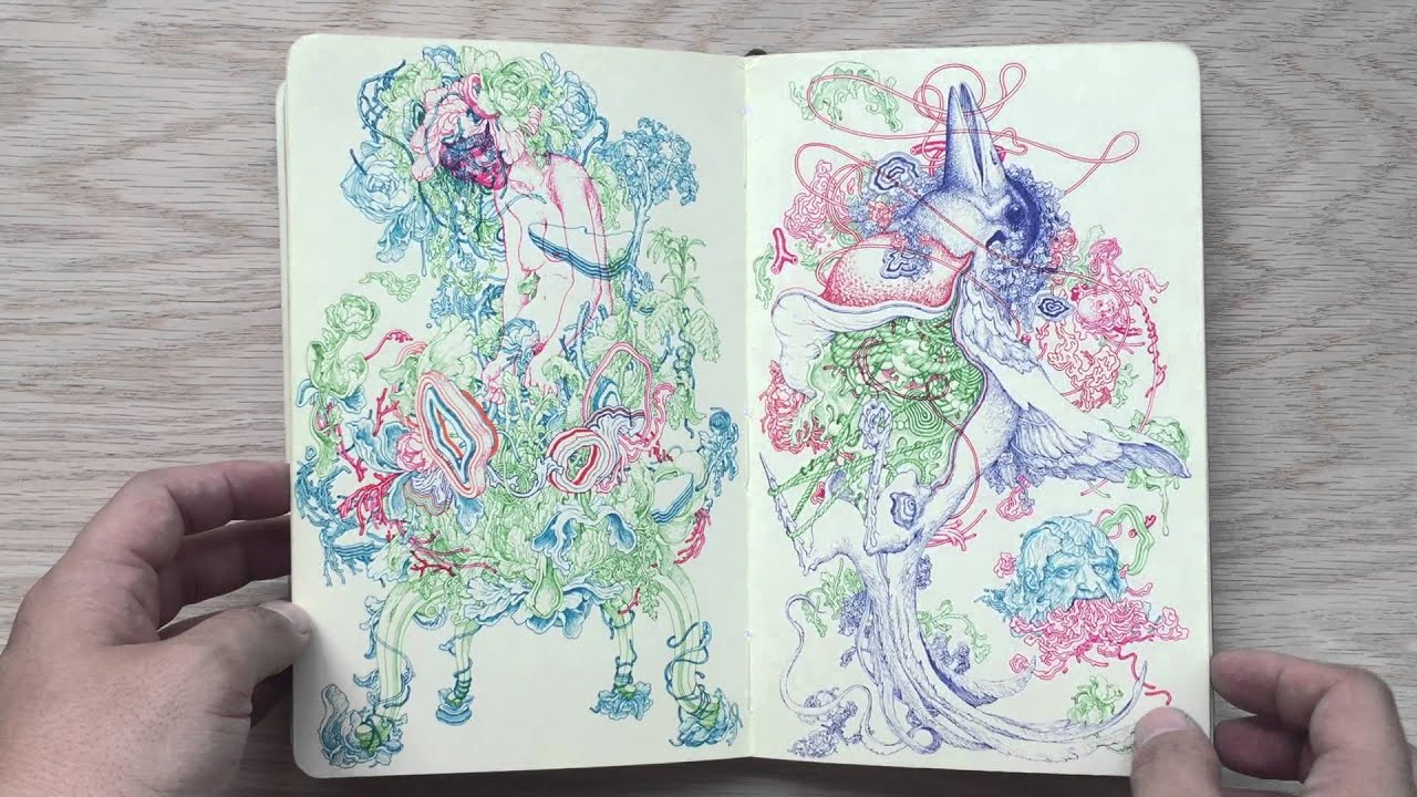 1280x720 james jean moleskine sketchbook - James Jean Drawing