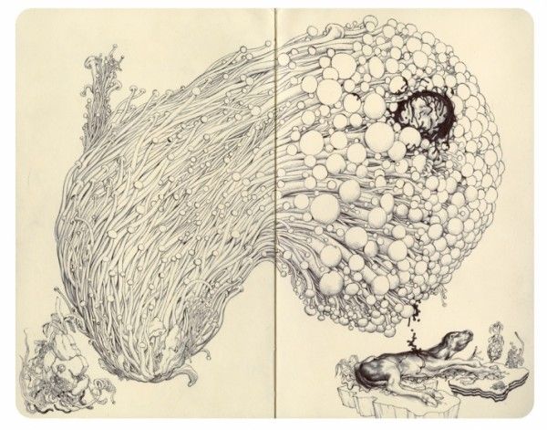 600x471 Sketchbook Drawings - James Jean Drawing