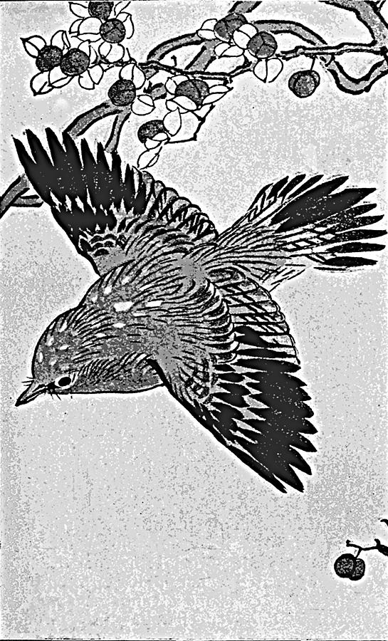 545x900 Japanese Drawing Of A Bird Drawing - Japanese Art Drawings