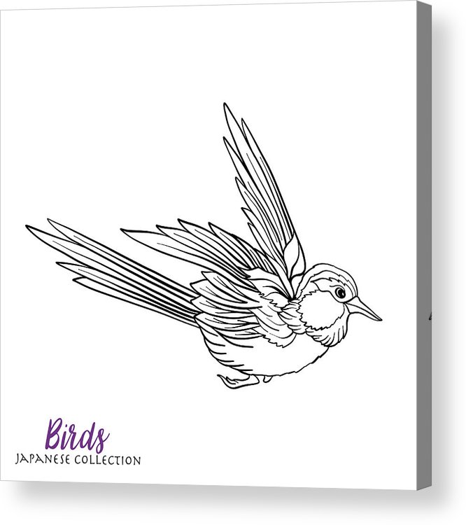 666x750 Japanese Birds Stock Line Vector Illustration Coloring Book - Japanese Bird Drawing