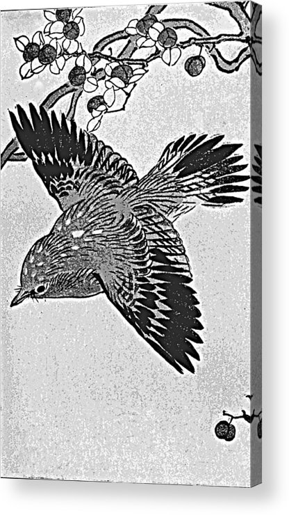 416x740 Japanese Drawing Of A Bird Acrylic Print - Japanese Bird Drawing