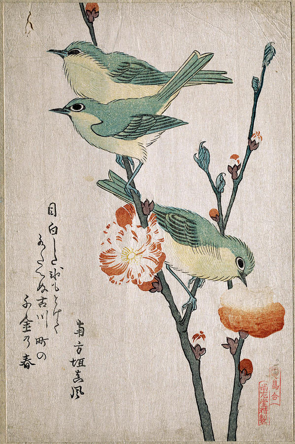 599x900 Japanese White Eyes Perching On A Branch Of Peach Tree - Japanese Bird Drawing