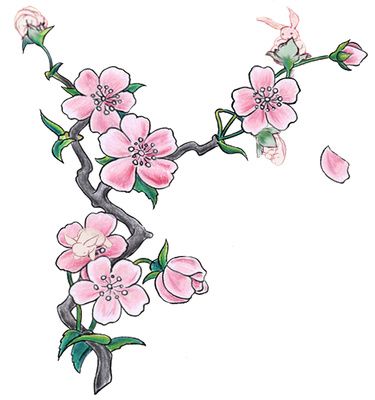 375x400 Cherry Blossom Illustration Pink Flowers Clipart Just Free Image - Japanese Blossom Drawing
