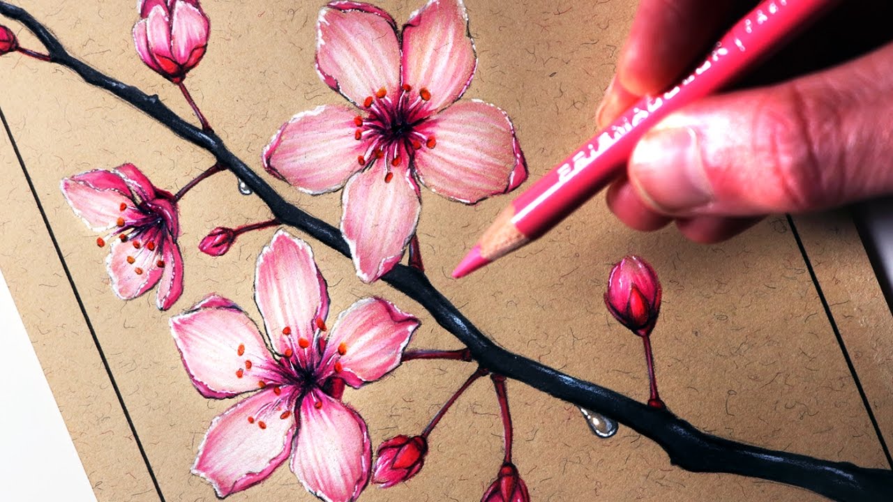1280x720 How To Draw Cherry Blossoms - Japanese Blossom Drawing