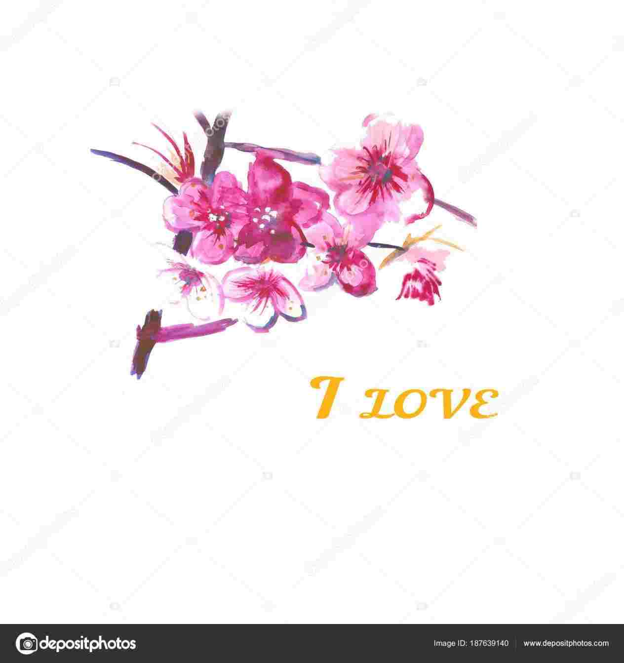 1264x1343 japanese japanese cherry blossoms drawing cherry blossom tree - Japanese Blossom Drawing