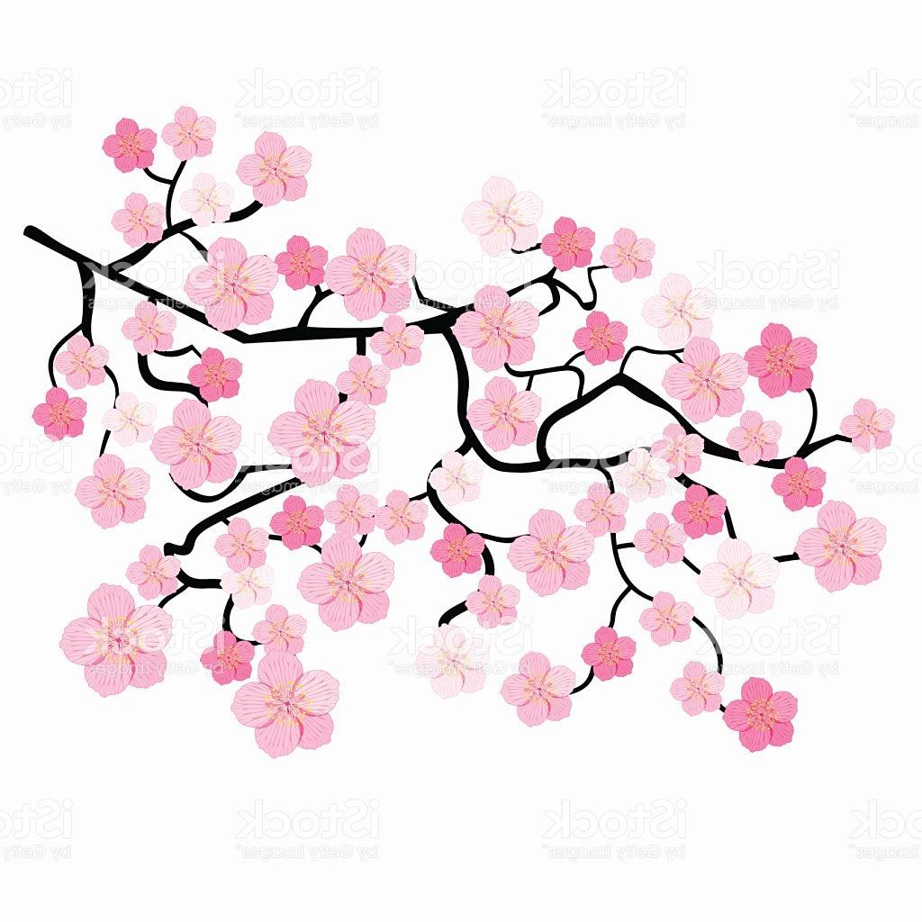 1024x1024 Best Free Cherry Blossom Tree Pencil Drawing - Japanese Blossom Drawing