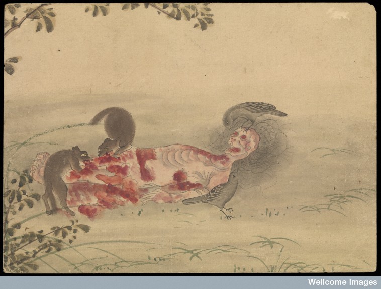 758x576 The Beauty Of Human Decomposition In Japanese Watercolor Strange - Japanese Buddha Drawing