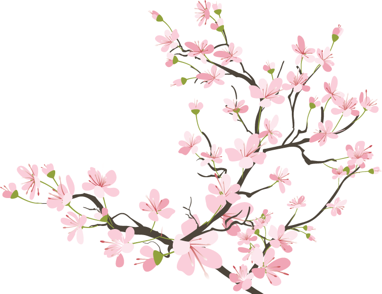 754x579 Japanese Cherry Blossom Tree Image Transparent Download - Japanese Cherry Blossom Drawing