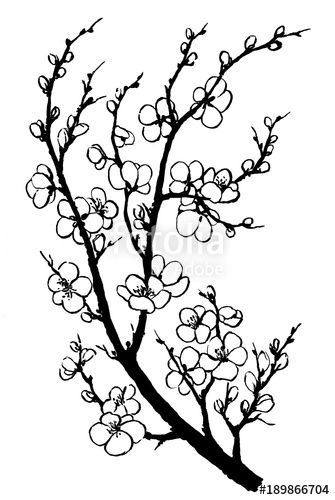 335x500 Branch Of Sakura With Flowers Apple Tree Flowers Japan Cherry - Japanese Cherry Blossom Drawing Black And White