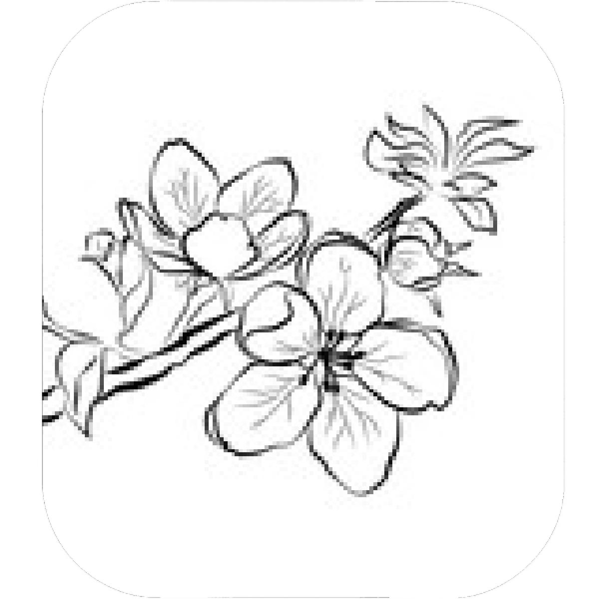 1200x1200 Designs Mein Mousepad Design Mousepad Selbst Designen - Japanese Cherry Blossom Drawing Black And White