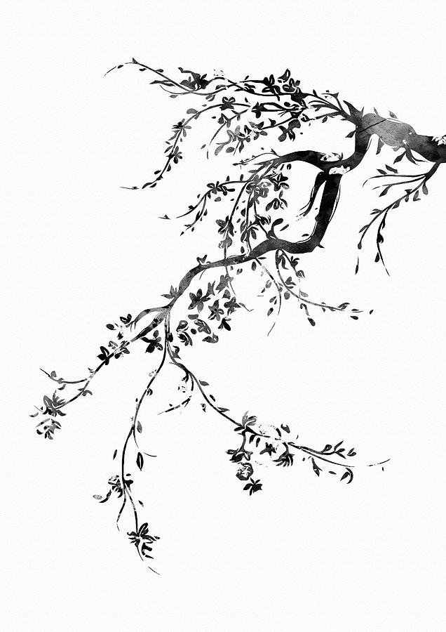 20+ New For Cherry Blossom Tree Drawing Black And White | The Japingape