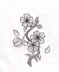 Japanese Cherry Blossom Drawing Black And White at PaintingValley.com