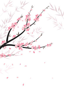 219x300 Japanese Cherry Blossom Drawings Fine Art America - Japanese Cherry Blossom Flower Drawing
