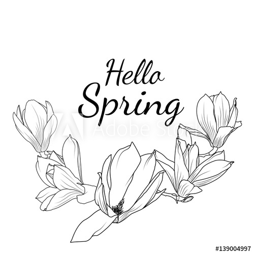 500x500 Magnolia Sakura Japanese Cherry Blossom Isolated Branch - Japanese Cherry Blossom Flower Drawing