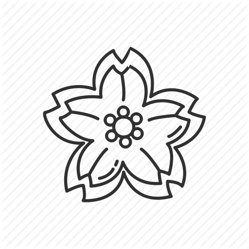 512x512 Collection Of Free Japanese Drawing Cherry Blossom Download On Ui Ex - Japanese Cherry Blossom Flower Drawing