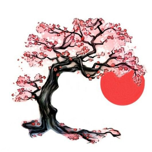 530x530 Cherry Blossom Tree, Japanese Sun Photoshop, Me Want Tattoo - Japanese Cherry Blossom Tree Drawing