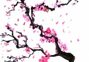 300x210 japanese cherry blossom drawing blossom tree drawing cherry tree - Japanese Cherry Blossom Tree Drawing