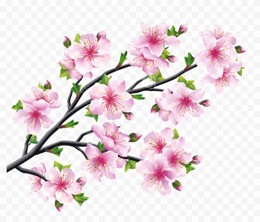 840x719 japanese cherry blossom sketch awesome free cherry blossoms - Japanese Cherry Blossom Tree Drawing