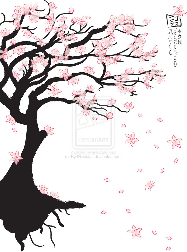 Japanese Cherry Tree Drawing