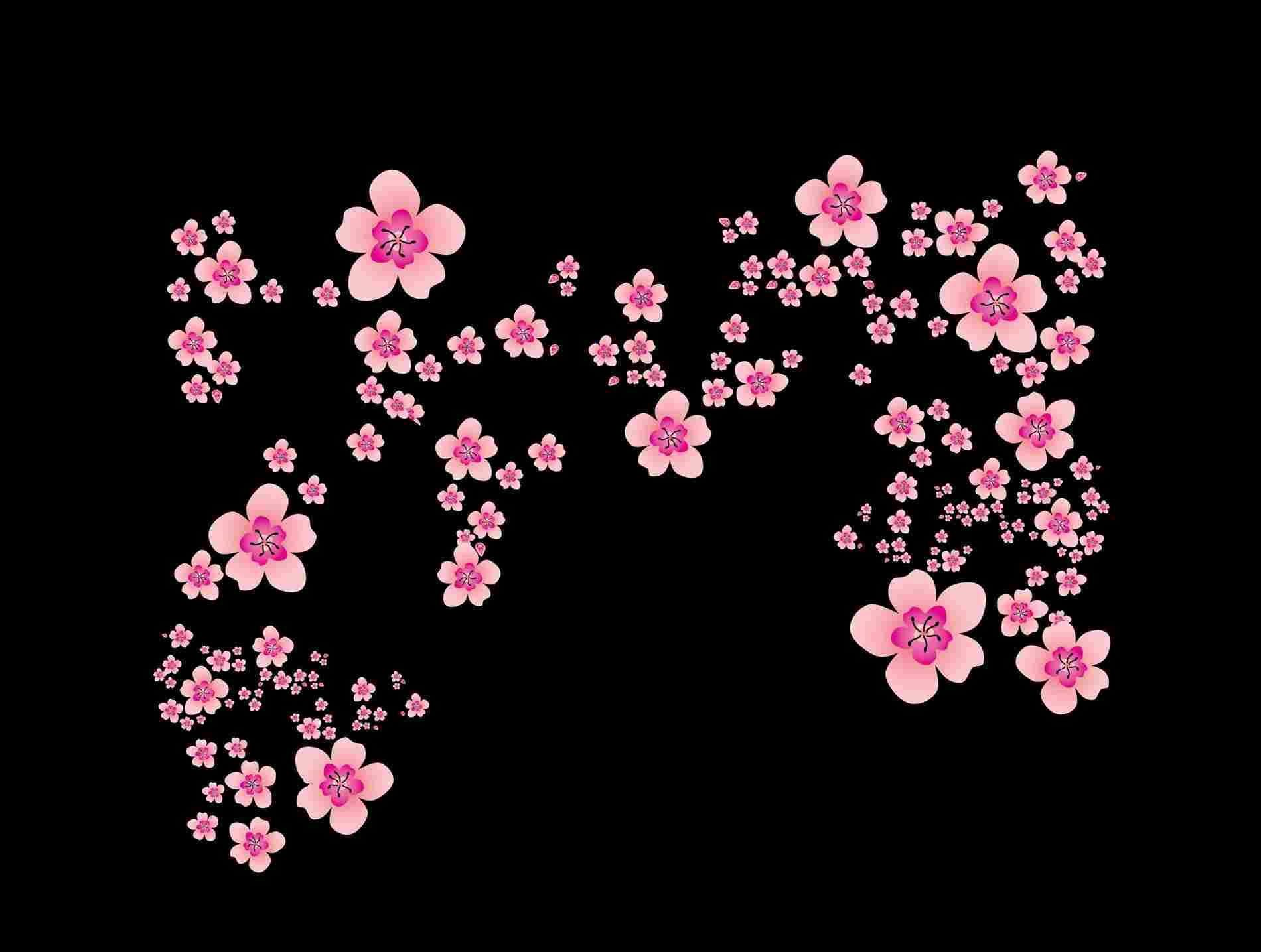 1900x1435 Japanese Cherry Tree Drawing - Japanese Cherry Tree Drawing