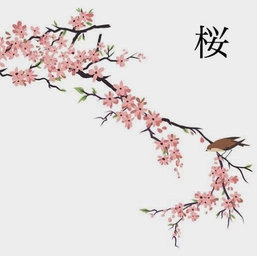 512x511 Photos Japanese Cherry Blossom Sketch - Japanese Cherry Tree Drawing