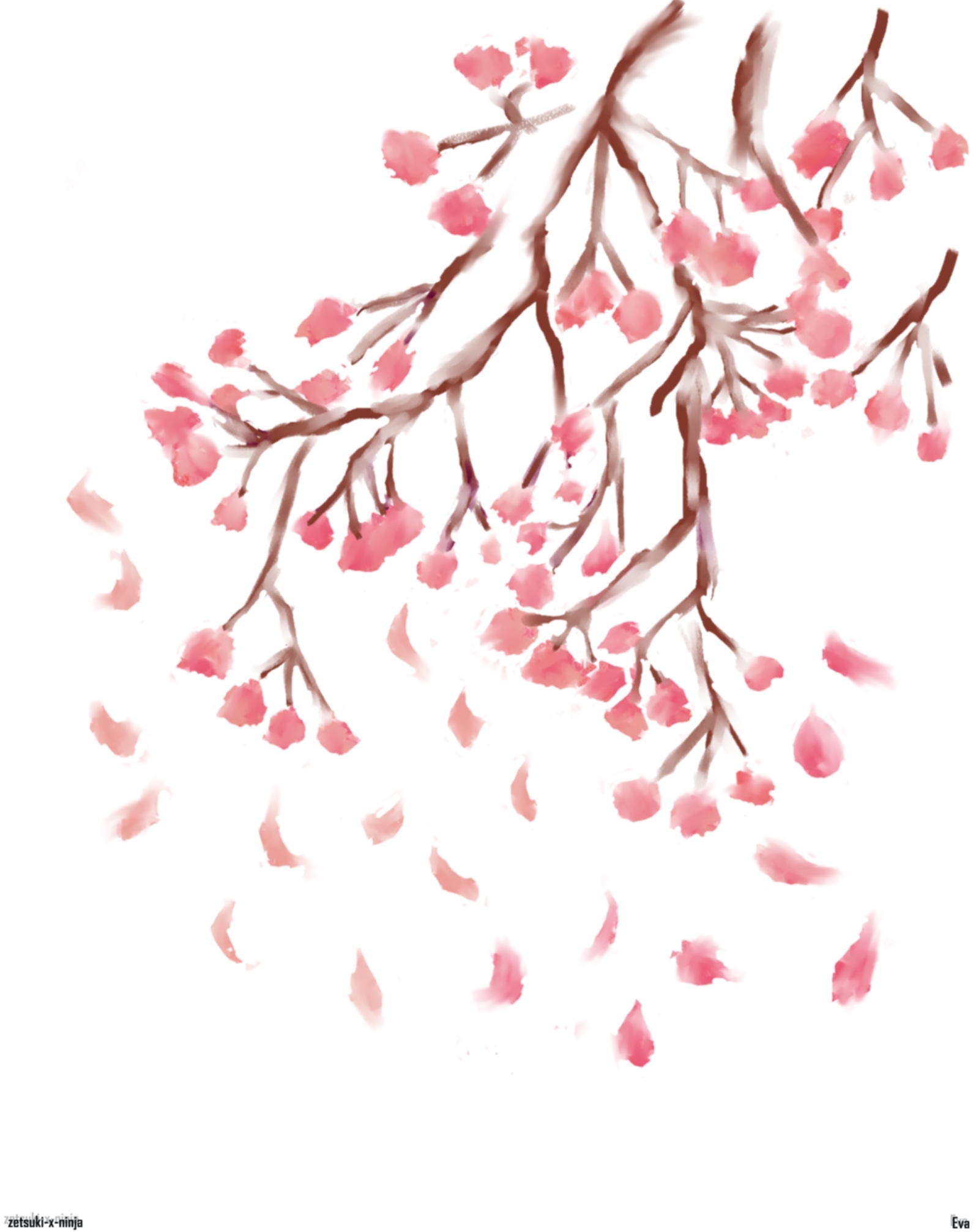 1595x2014 Cherry Blossom Drawings - Japanese Cherry Tree Drawing