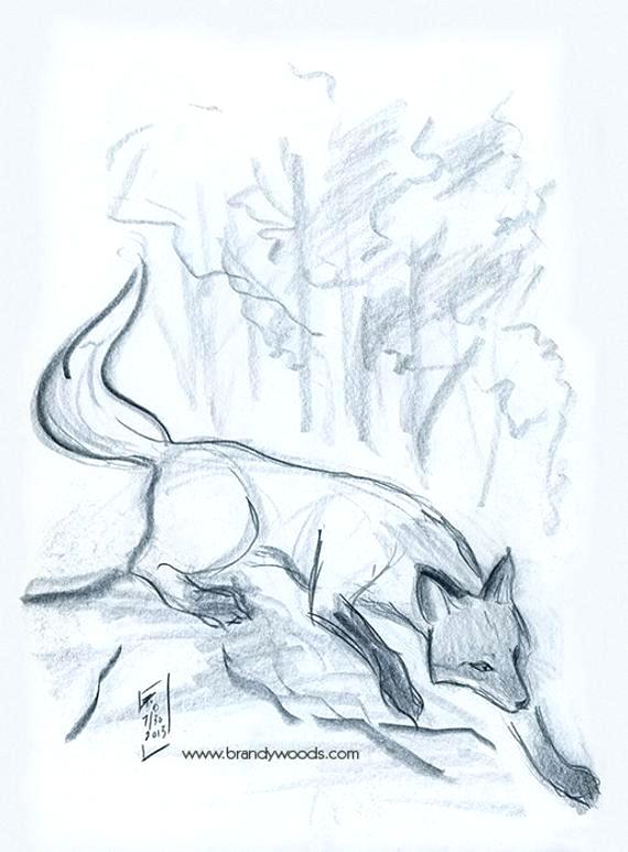 570x773 japanese tree art art artist drawing tree art japanese bonsai tree - Japanese Cloud Drawing