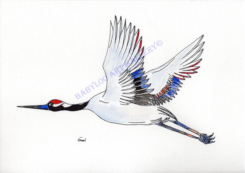 794x561 Japanese Crane Ink Drawing Etsy - Japanese Crane Drawing