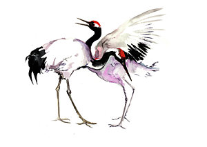 300x213 Japanese Crane Paintings Fine Art America - Japanese Crane Drawing