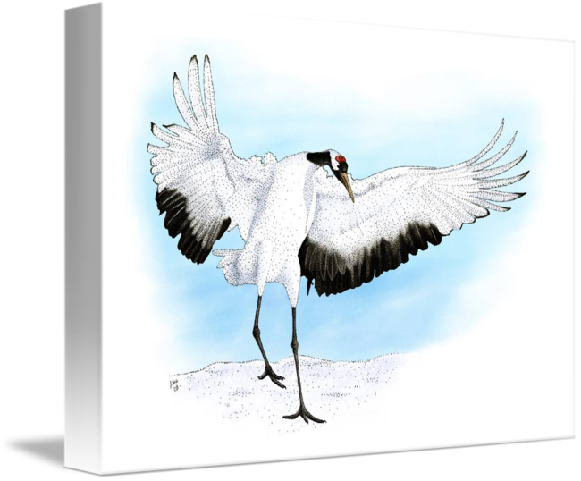 650x538 Japanese Crane - Japanese Crane Drawing