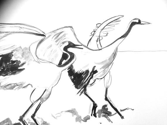 570x427 In A Series Of Japanese Crane Ink Etsy - Japanese Crane Drawing