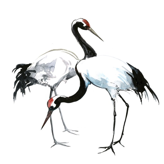 700x700 japanese cranes, asian ink crane bird artwork design duvet cover - Japanese Crane Drawing