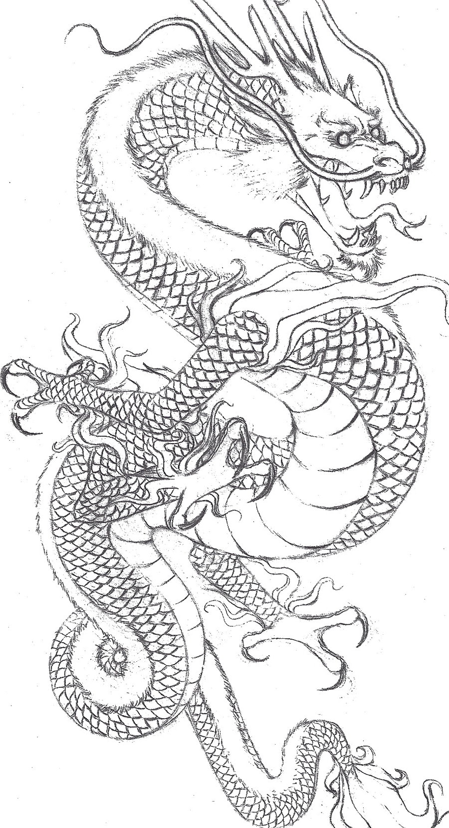 900x1659 Japanese Dragon Tattoo Sample Tattoo Ideas - Japanese Dragon Drawing