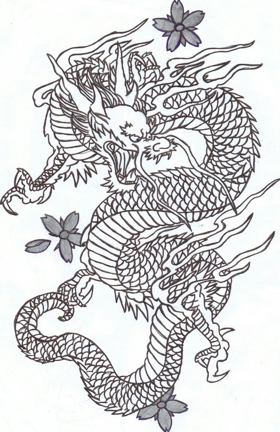 900x1386 Tattoos Dragon Tattoo Designs - Japanese Dragon Drawing