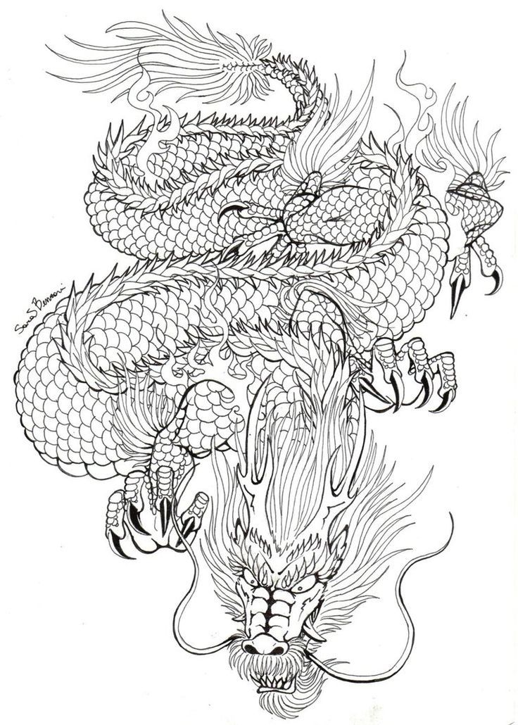 Japanese Dragon Drawing at PaintingValley.com | Explore collection of ...