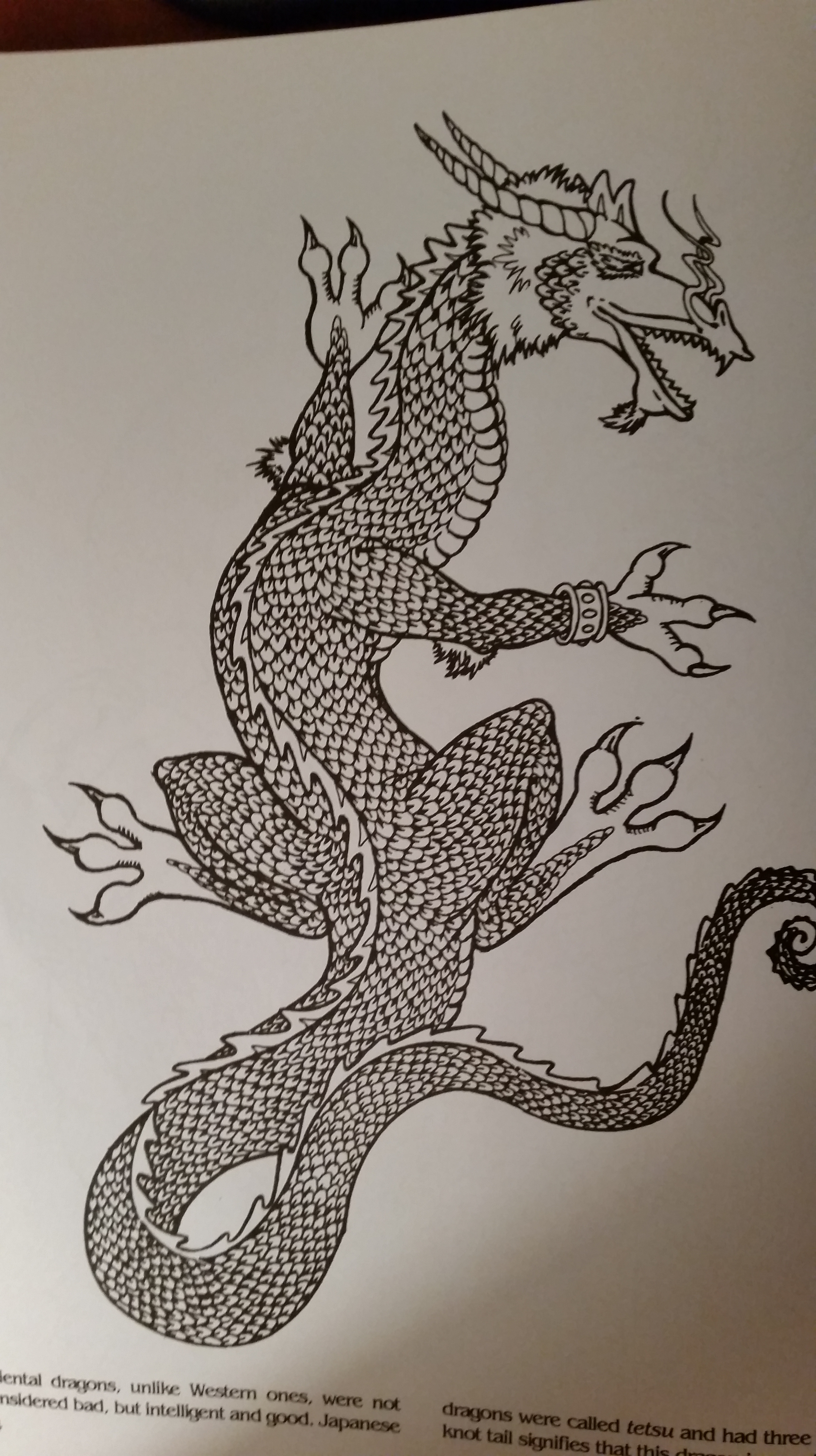 Japanese Dragon Drawing at PaintingValley.com | Explore collection of ...