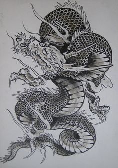 236x336 Japanese Dragon Drawing - Japanese Dragon Drawing